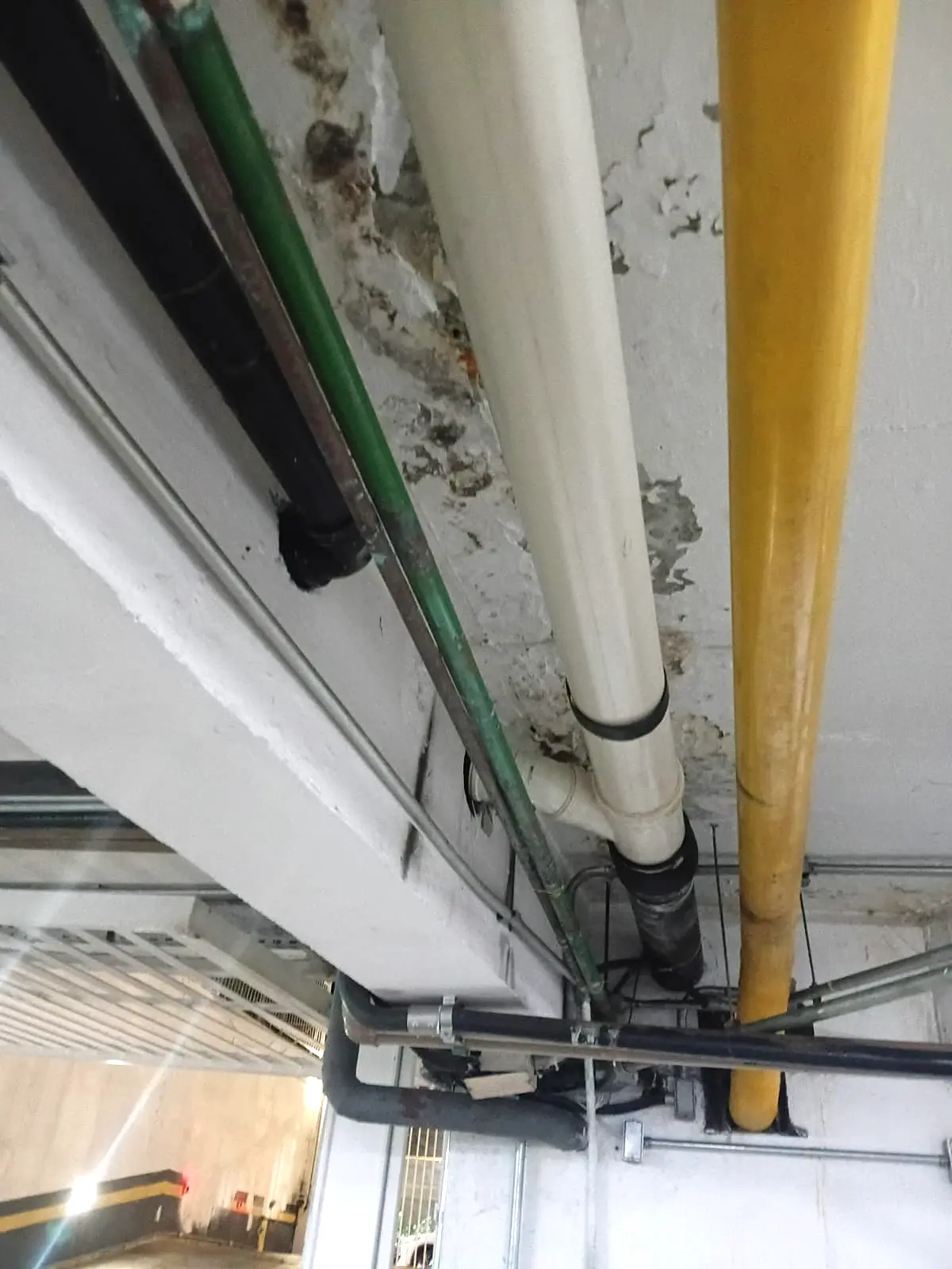 Infiltração de esgoto em parede